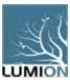 Lumion